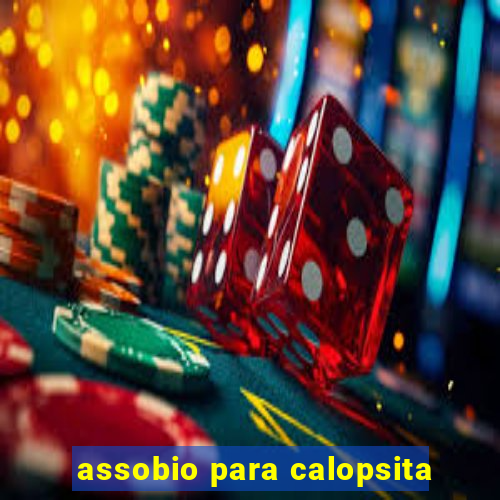 assobio para calopsita